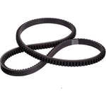 Order Fan Belt by DAYCO - 17520 For Your Vehicle