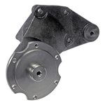 Order DORMAN - 300-809 - Engine Cooling Fan Pulley Bracket For Your Vehicle