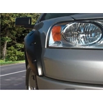 Order Fender Flare Or Flares by STAMPEDE - 8410-2 For Your Vehicle