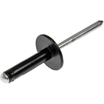 Order DORMAN - 700-038 - Multi-Purpose Rivet For Your Vehicle