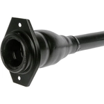 Order Filler Neck by DORMAN (OE SOLUTIONS) - 577-264 For Your Vehicle