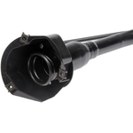 Order Filler Neck by DORMAN (OE SOLUTIONS) - 577-268 For Your Vehicle