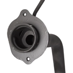 Order SPECTRA PREMIUM INDUSTRIES - FN842 - Filler Neck For Your Vehicle