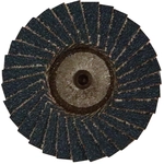 Order Flap Disc by GEMTEX - 22520305 For Your Vehicle