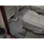 Order WEATHERTECH - 4416502 - Floor Mat For Your Vehicle