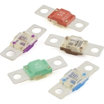 Order BUSSMANN - AMI40 - AMI High Amp Fuse For Your Vehicle