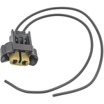 Order Fog Lamp Socket by BWD AUTOMOTIVE - PT2597 For Your Vehicle