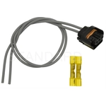 Order Fog Lamp Switch Connector by BLUE STREAK (HYGRADE MOTOR) - S2175 For Your Vehicle