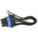 Order Fog Lamp Switch Connector by BLUE STREAK (HYGRADE MOTOR) - HP3970 For Your Vehicle