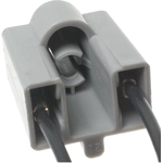 Order Fog Lamp Switch Connector by BLUE STREAK (HYGRADE MOTOR) - HP4450 For Your Vehicle