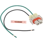 Order STANDARD - PRO SERIES - S1664 - Electrical Connector For Your Vehicle