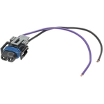 Order Fog Lamp Switch Connector by STANDARD - PRO SERIES - S553 For Your Vehicle