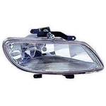 Order Fog Light Assembly - HY2593111 For Your Vehicle