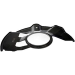 Order Front Backing Plate by DORMAN (OE SOLUTIONS) - 924495 For Your Vehicle