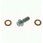 Order Front Banjo Bolt by CARLSON - H9502-2 For Your Vehicle