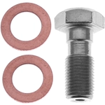 Order RAYBESTOS - H5388 - Front Brake Hydraulic Hose Banjo Bolt For Your Vehicle
