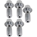 Order Front Banjo Bolt (Pack of 5) by RAYBESTOS - H5371 For Your Vehicle