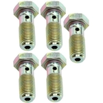 Order Front Banjo Bolt (Pack of 5) by RAYBESTOS - H5373 For Your Vehicle