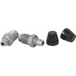 Order Front Bleeder Screw by MOTORCRAFT - BKBF19 For Your Vehicle