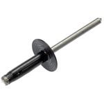 Order DORMAN/AUTOGRADE - 700-038 - Blind Rivet Retainer For Your Vehicle