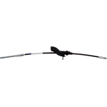 Order Front Brake Cable by WORLDPARTS - 1651289 For Your Vehicle