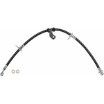 Order Front Brake Hose by BRAKEBEST - BH380055 For Your Vehicle