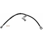Order Front Brake Hose by BRAKEBEST - BH380074 For Your Vehicle