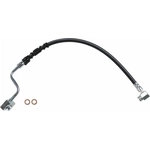 Order Front Brake Hose by BRAKEBEST - BH380356 For Your Vehicle