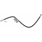 Order Front Brake Hose by BRAKEBEST - BH380534 For Your Vehicle