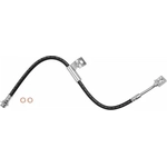 Order Front Brake Hose by BRAKEBEST - BH38167 For Your Vehicle