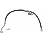 Order Front Brake Hose by BRAKEBEST - BH38620 For Your Vehicle