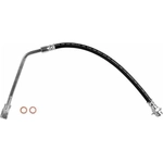 Order Front Brake Hose by BRAKEBEST - BH38665 For Your Vehicle