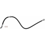 Order Front Brake Hose by BRAKEBEST - BH38873 For Your Vehicle