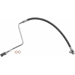 Order Front Brake Hose by BRAKEBEST - BH38950 For Your Vehicle