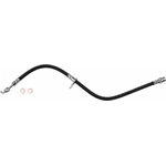 Order Front Brake Hose by BRAKEBEST - BH620241 For Your Vehicle