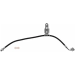 Order Front Brake Hose by BRAKEBEST - BH620564 For Your Vehicle