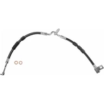 Order Front Brake Hose by BRAKEBEST - BH620701 For Your Vehicle