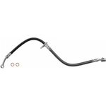 Order Front Brake Hose by BRAKEBEST - BH621115 For Your Vehicle
