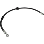 Order Front Brake Hose by CENTRIC PARTS - 150.46079 For Your Vehicle