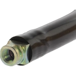 Order Front Brake Hose by CENTRIC PARTS - 150.62134 For Your Vehicle