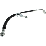 Order Front Brake Hose by CENTRIC PARTS - 150.62143 For Your Vehicle