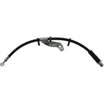 Order Front Brake Hose by CENTRIC PARTS - 150.62146 For Your Vehicle