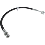 Order Front Brake Hose by CENTRIC PARTS - 150.62160 For Your Vehicle
