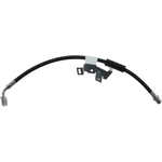 Order Tuyau de frein avant de CENTRIC PARTS - 150.66137 For Your Vehicle