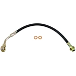 Purchase DORMAN/FIRST STOP - H380581 - Front Brake Hose