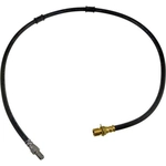 Order Front Brake Hose by DORMAN/FIRST STOP - H38913 For Your Vehicle