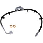 Purchase DORMAN/FIRST STOP - H620581 - Front Brake Hose