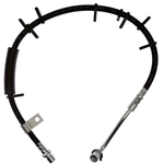 Order RAYBESTOS - BH383925 - Front Brake Hose For Your Vehicle