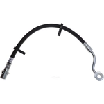 Order Front Brake Hose by RAYBESTOS - BH384331 For Your Vehicle