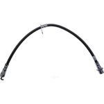Order Front Brake Hose by RAYBESTOS - BH384494 For Your Vehicle